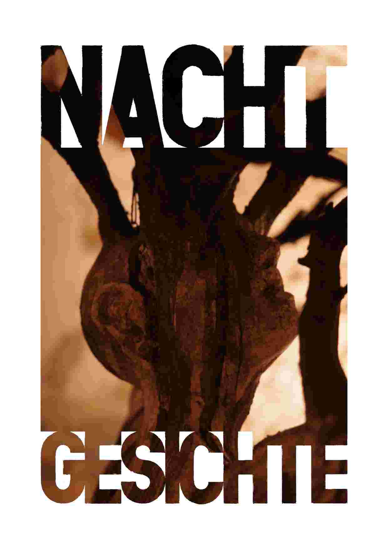 Nachtgesichte